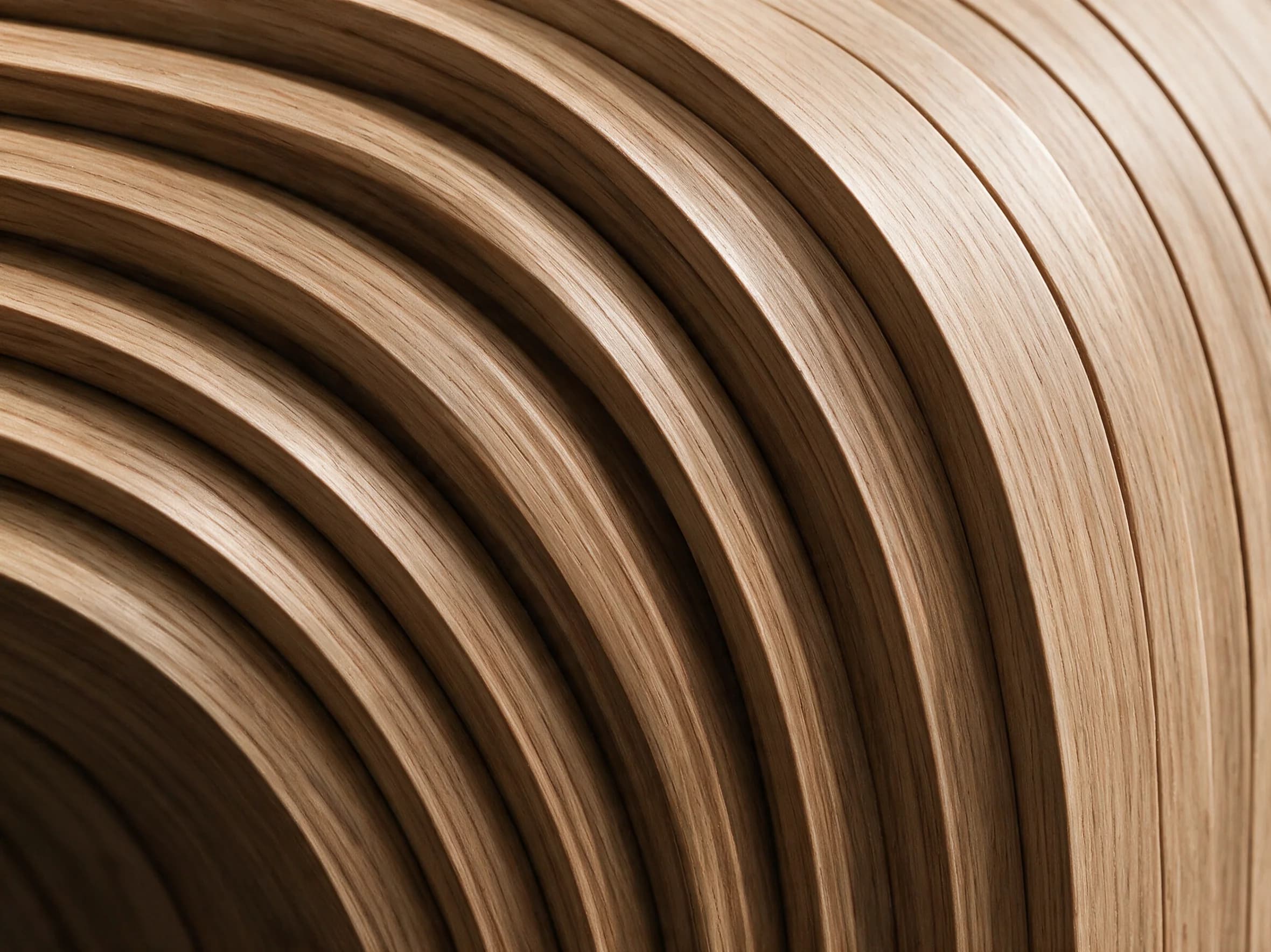 Extreme macro of a layered, curved teak edge